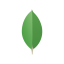 MongoDB Compass